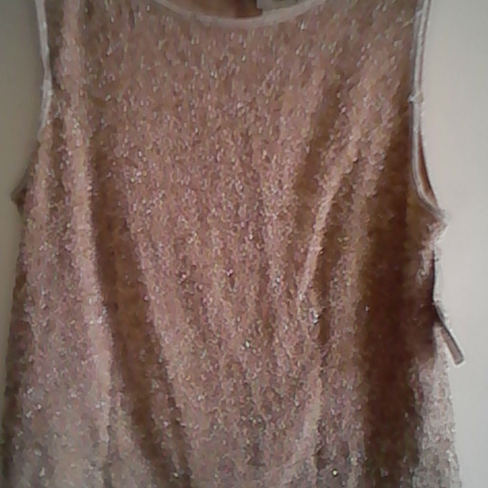 Adrianna Papell Beaded Silk Top New